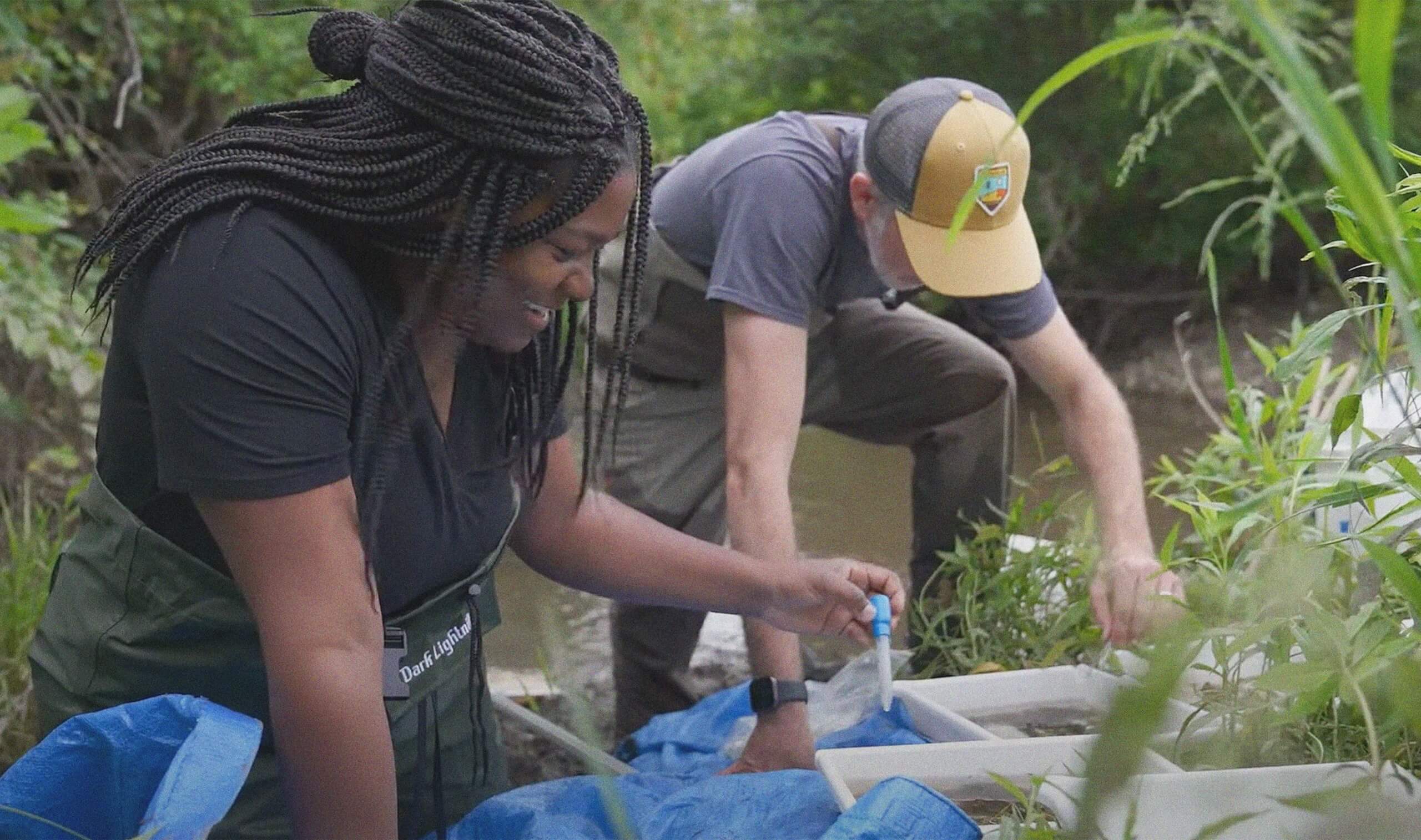 People checking soil